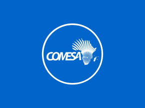 Integracja gospodarcza w ramach wspólnego rynku Afryki wschodniej i południowej(COMESA)