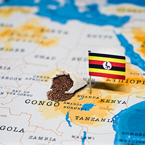 Uganda oficjalnie wycofuje się z Międzynarodowej Umowy Kawowej
